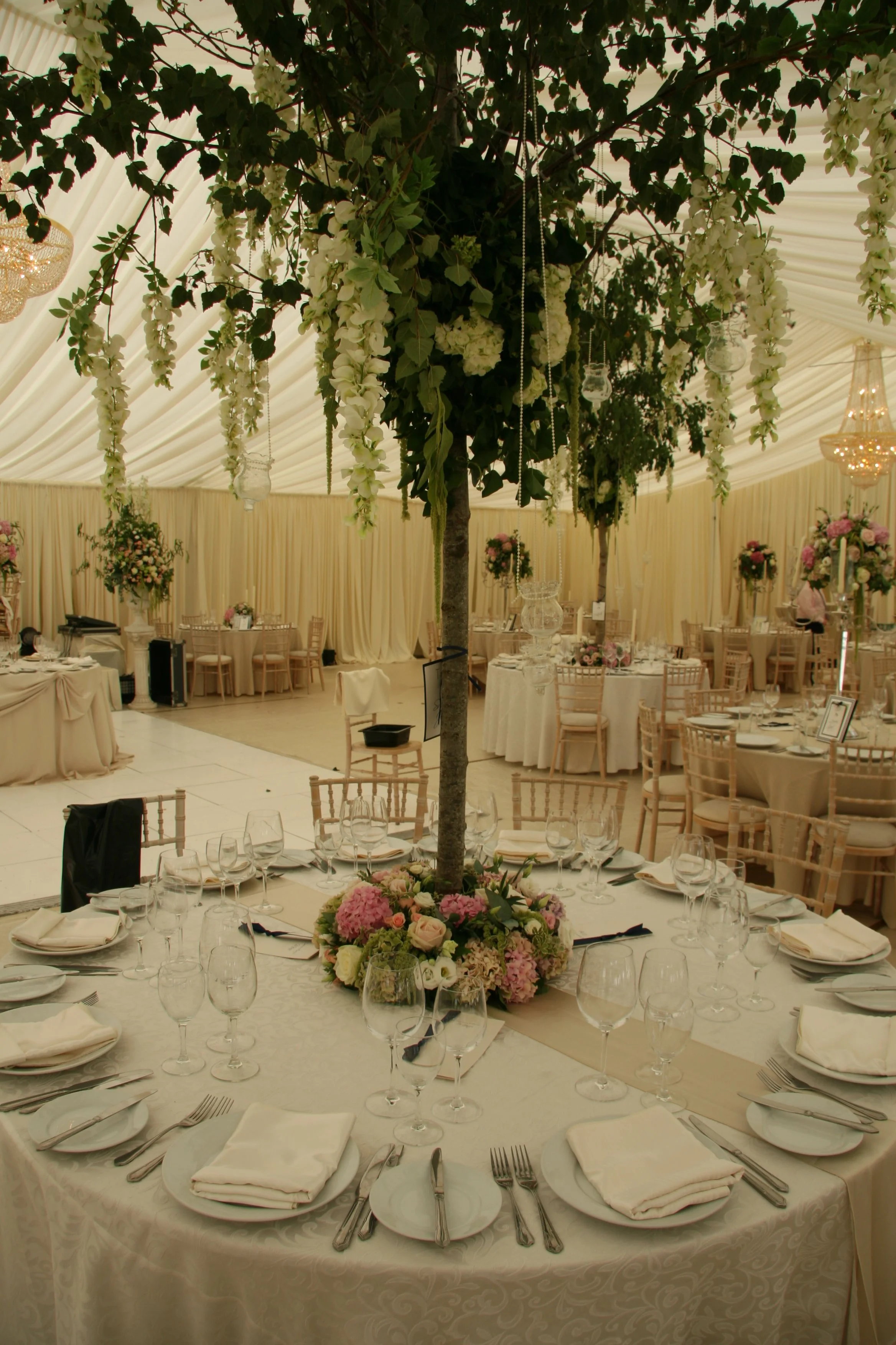 Ivory Draped marquee roof with wisteria trees
