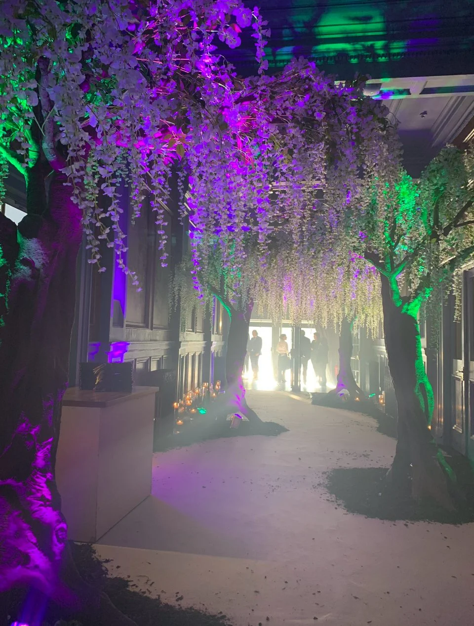Indoor event with illuminated trees and hanging blossoms, with some people walking through a lit pathway towards a bright light in the distance.