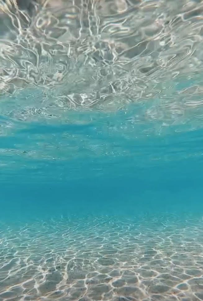 Intuition as Celestial Memory