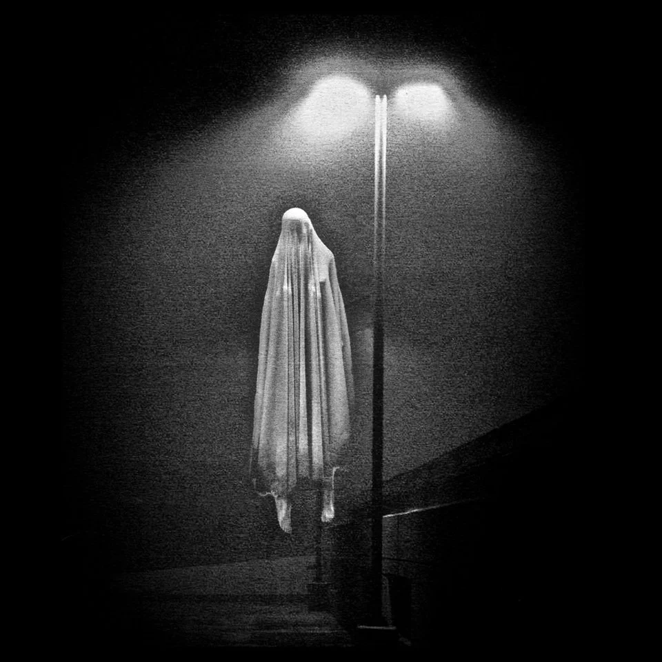 Follow into the Night