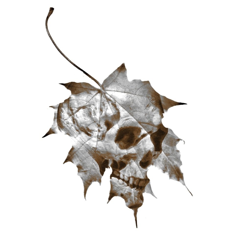 Seasons Change and People Dont