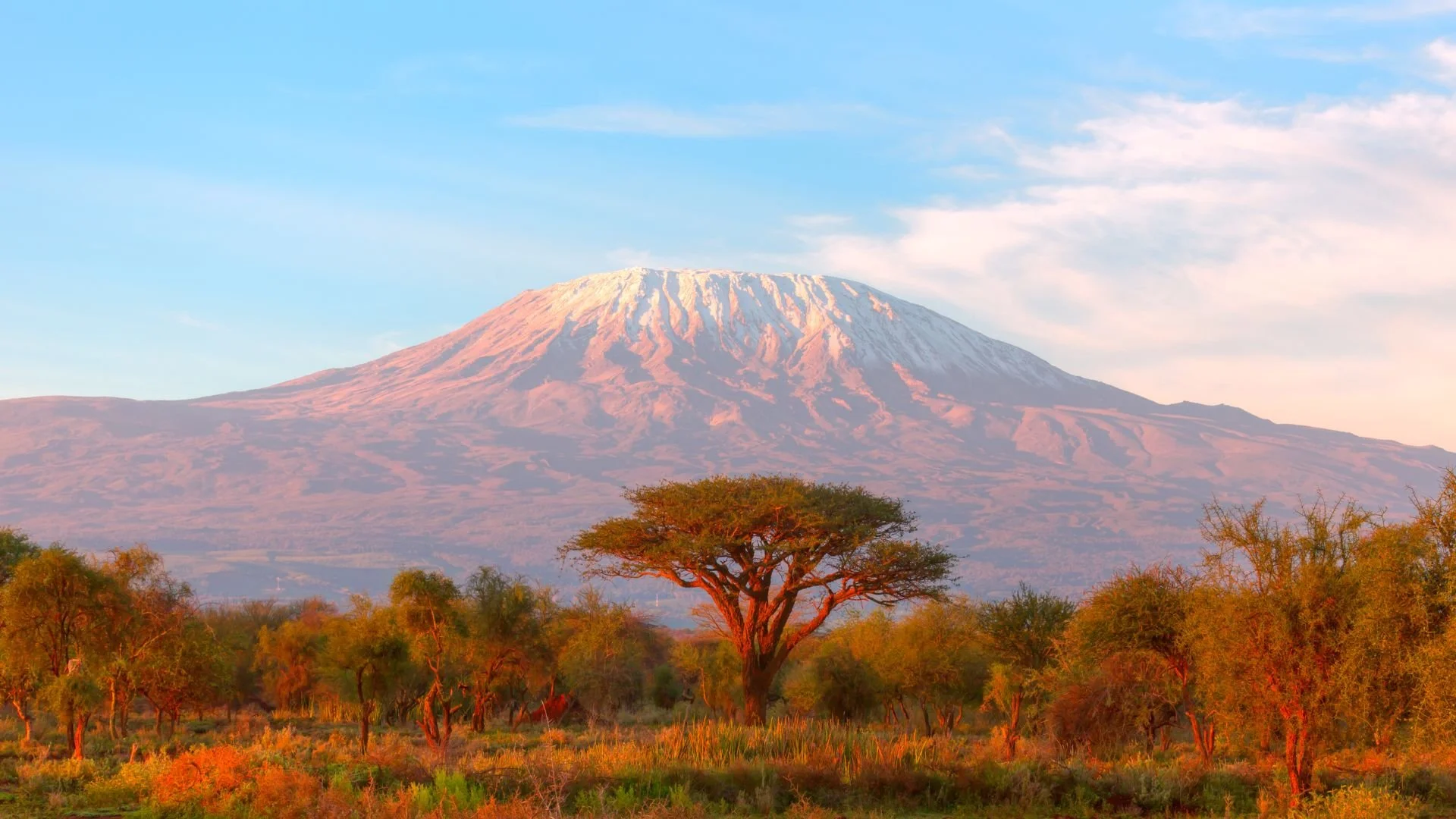 Mount Kilimanjaro, surrounded by a savannah with trees and shrubs during sunset or sunrise.