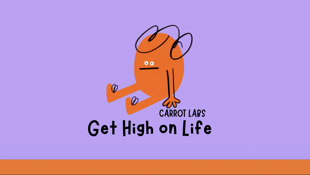 Carrot Labs - Brand Identity and Marketing Plan