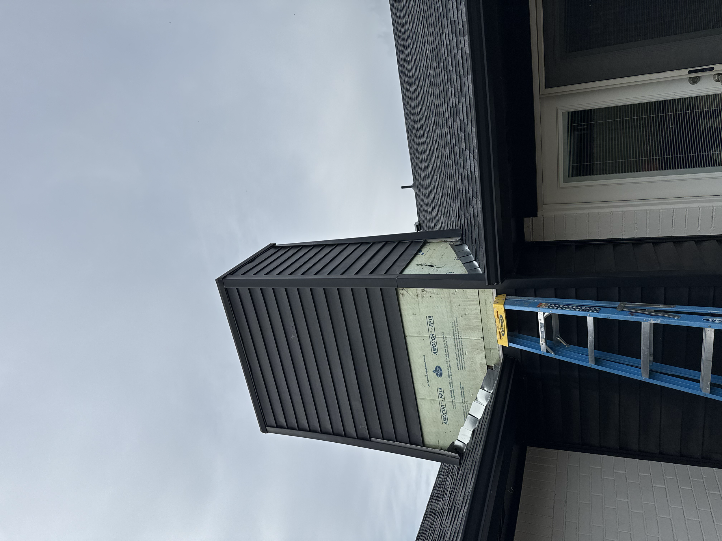 Building exterior with black siding, window, and ladder. Cloudy sky in the background.