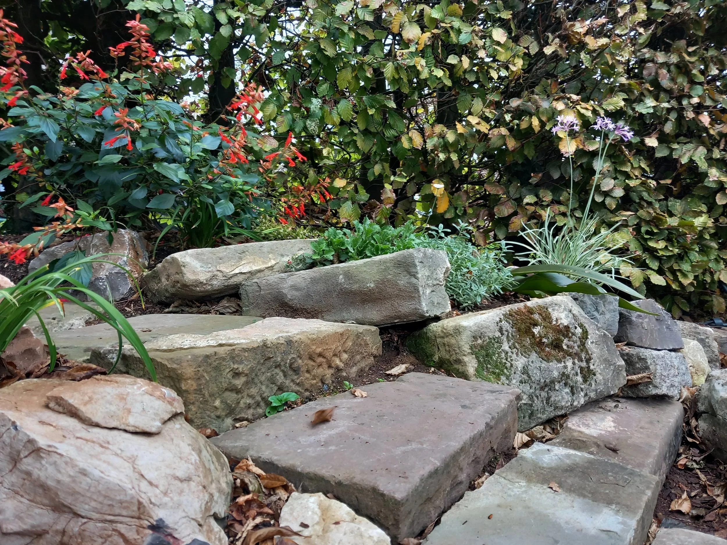 Jonny+back+garden+rockery+and+seat+border+20251015_115433.jpg