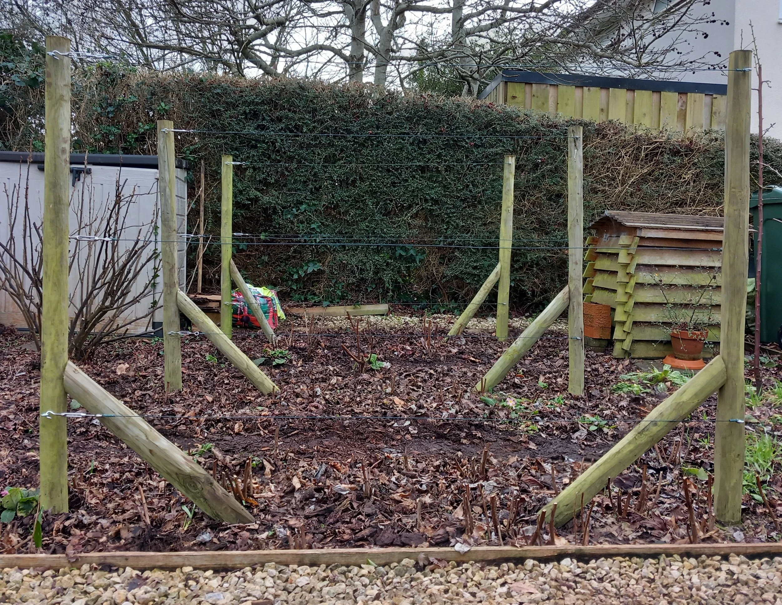 Raspberry supports Annabel January 2025 (2).jpg