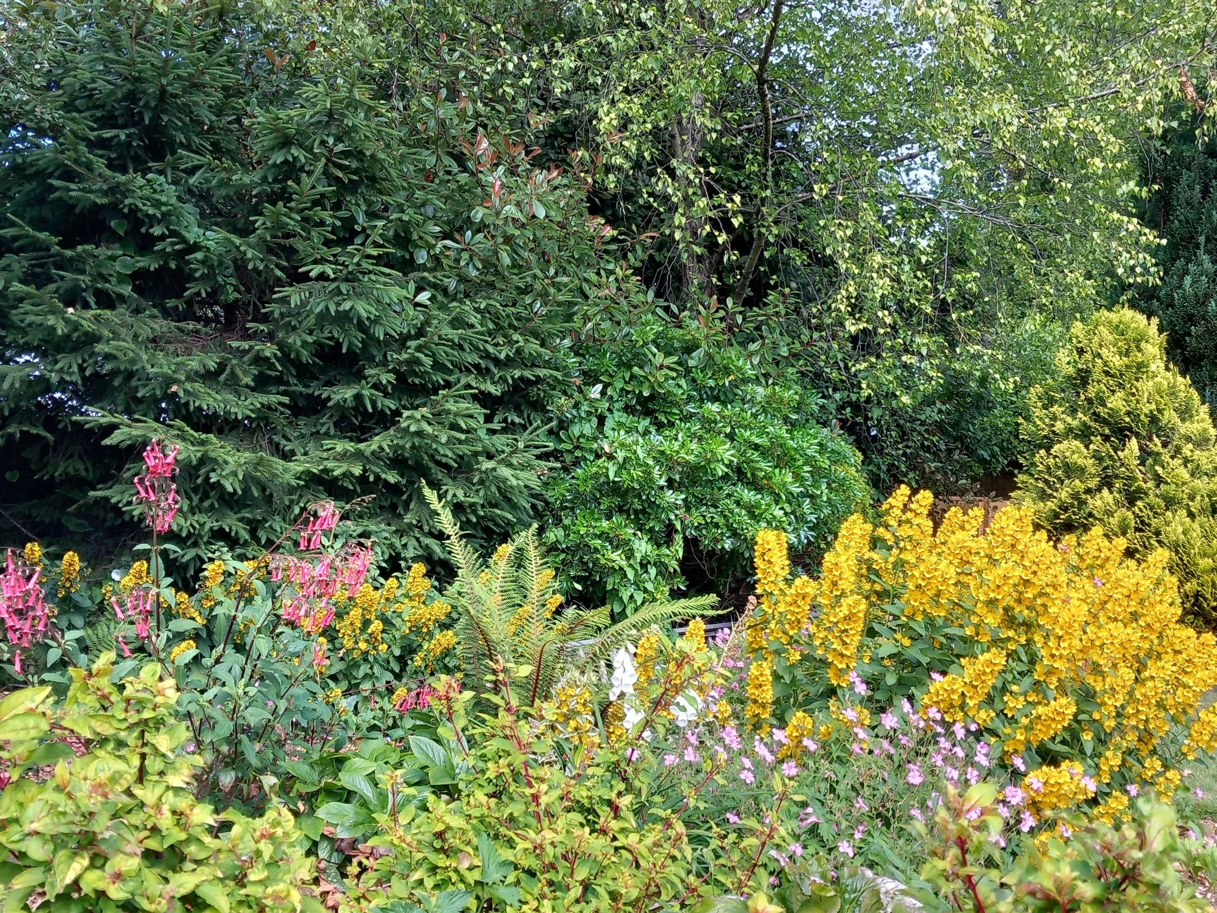 Anns borders 20250626_105003 .jpg