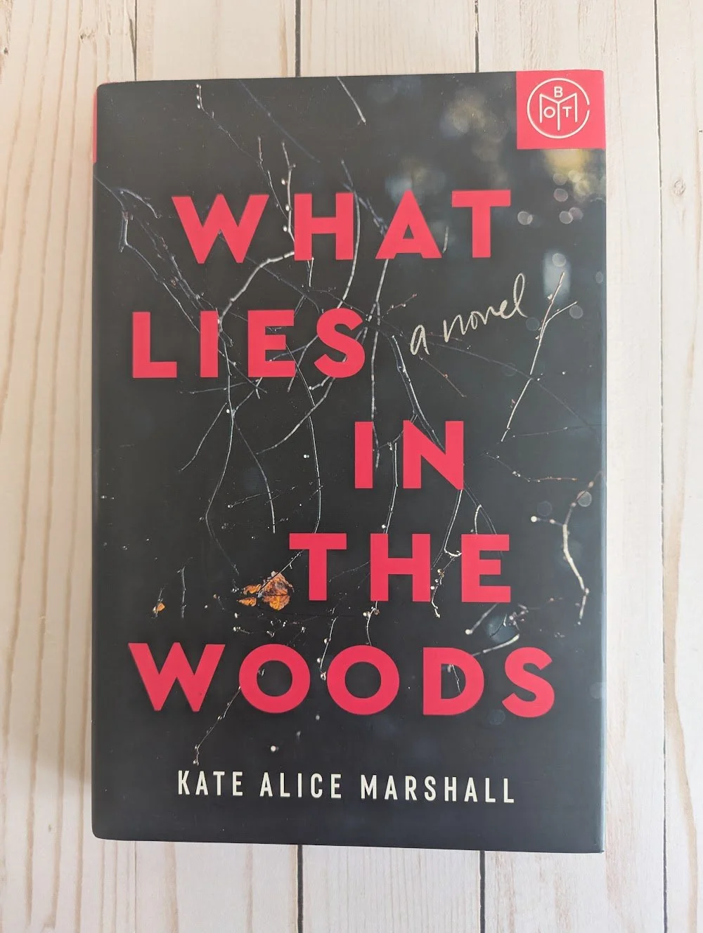 What Lies in the Woods (Hardcover)