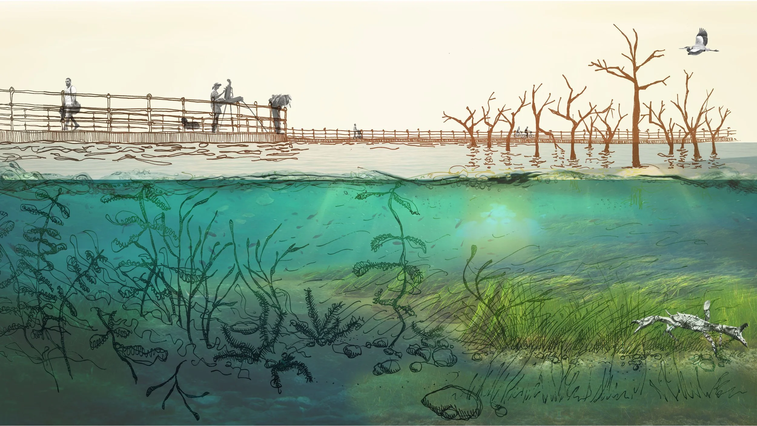 Climate Chronograph, Terrene