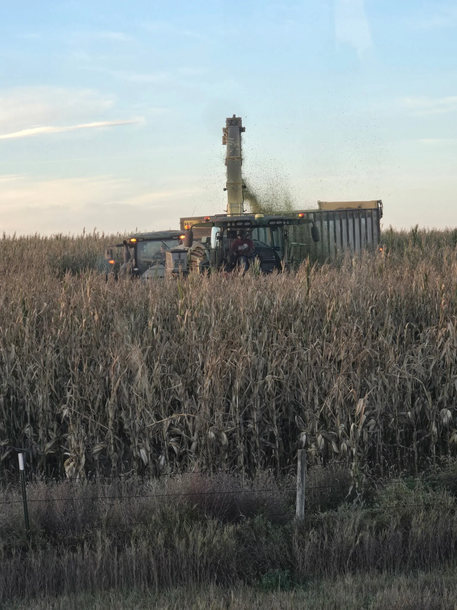 A forage harvester chopping corn into a truck in a cornfield during daytime.