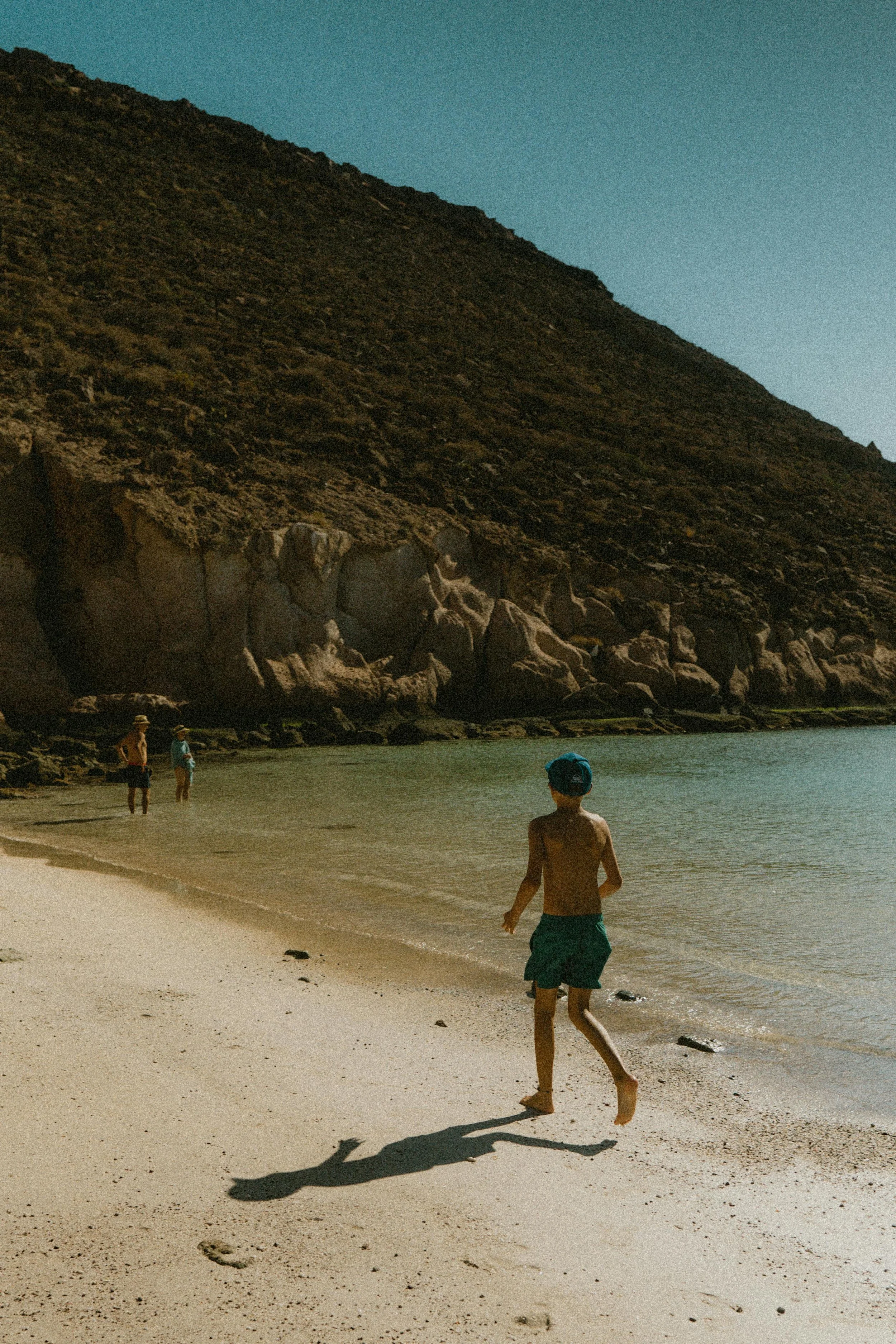 Wild Whale Encounter Adventure in Baja California