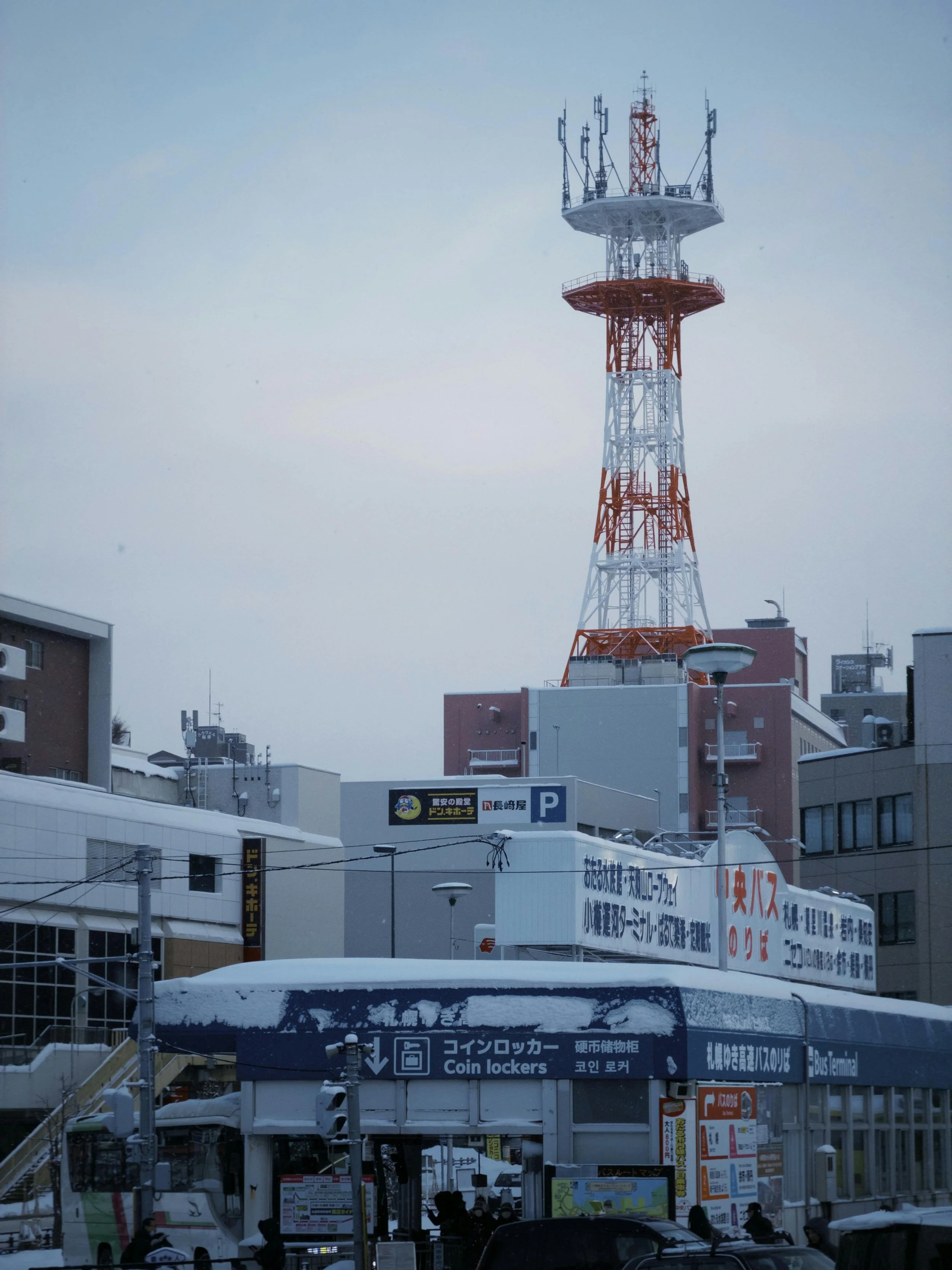 Wild Powder Snow Adventure in Hokkaido