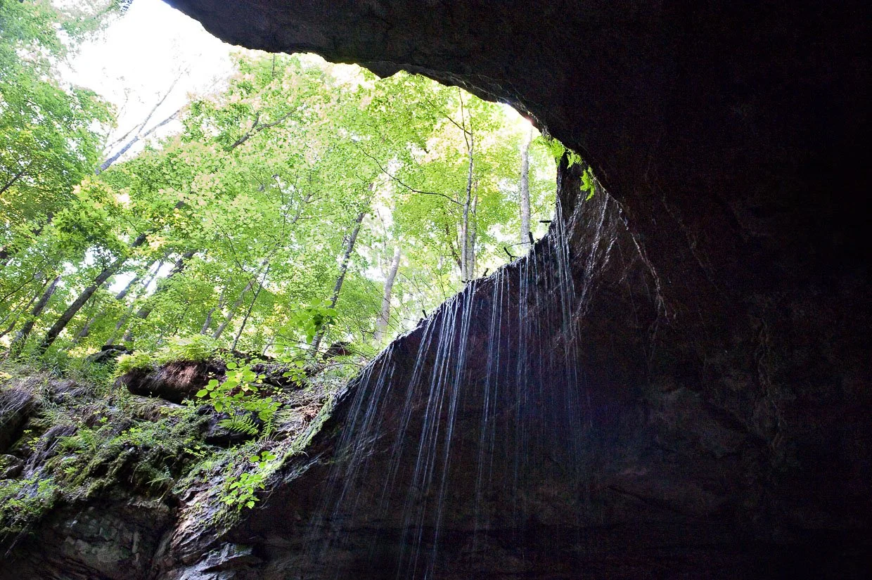 DSC_8823_edit-22020 website.jpg