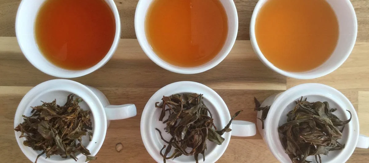 Three cups of brewed tea with three cups of loose tea leaves on a wooden surface.
