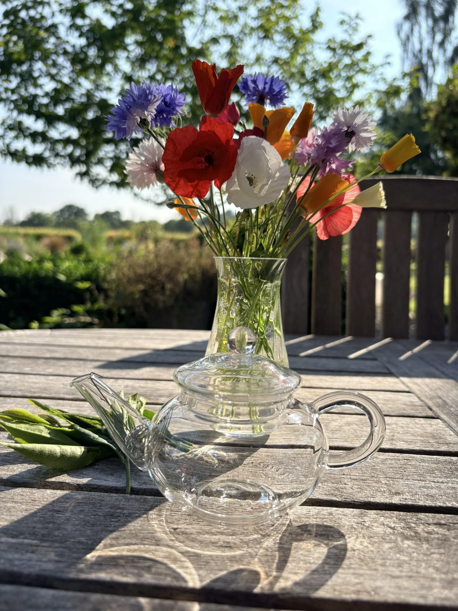 Every day Glass Teapot