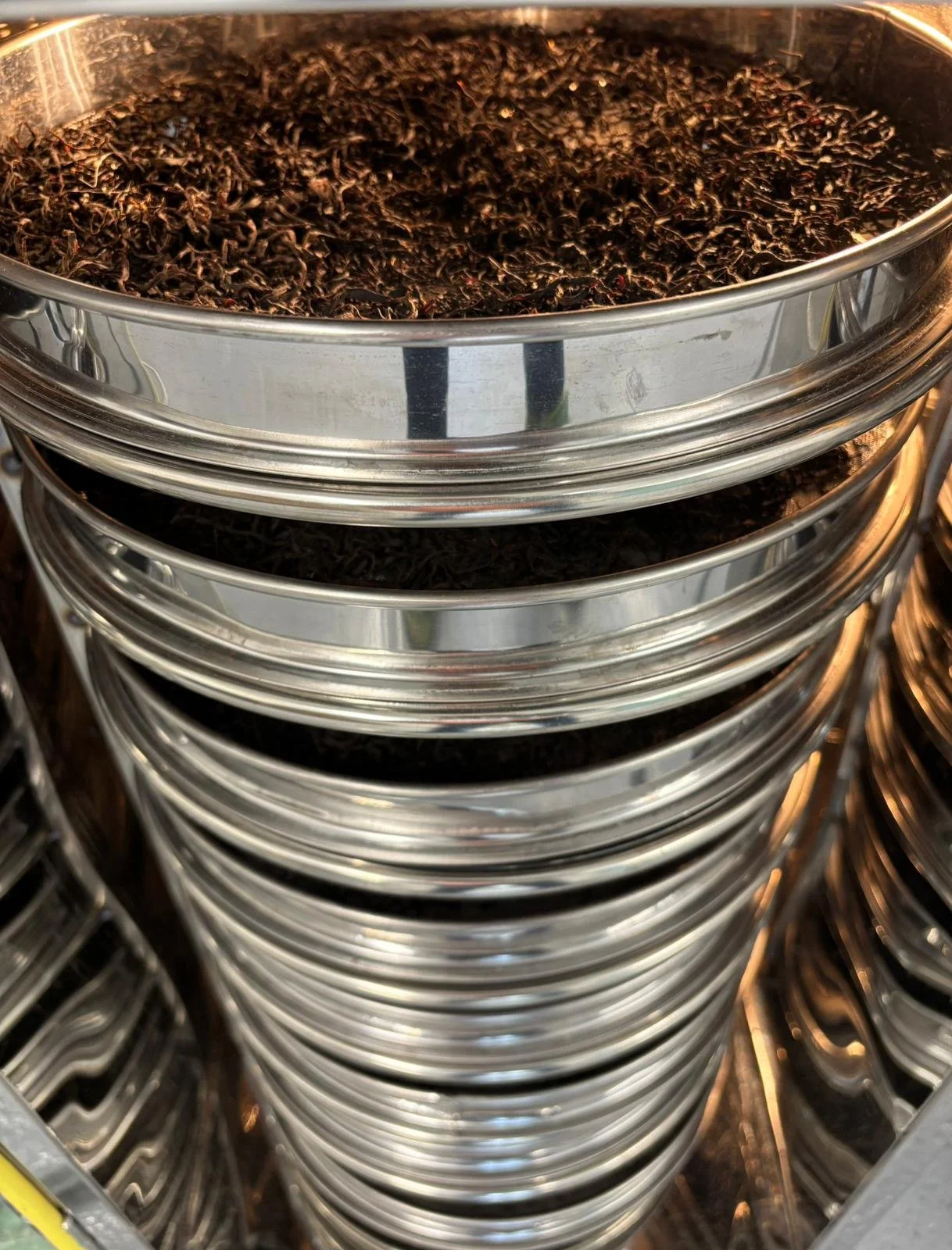 Black Tea Making