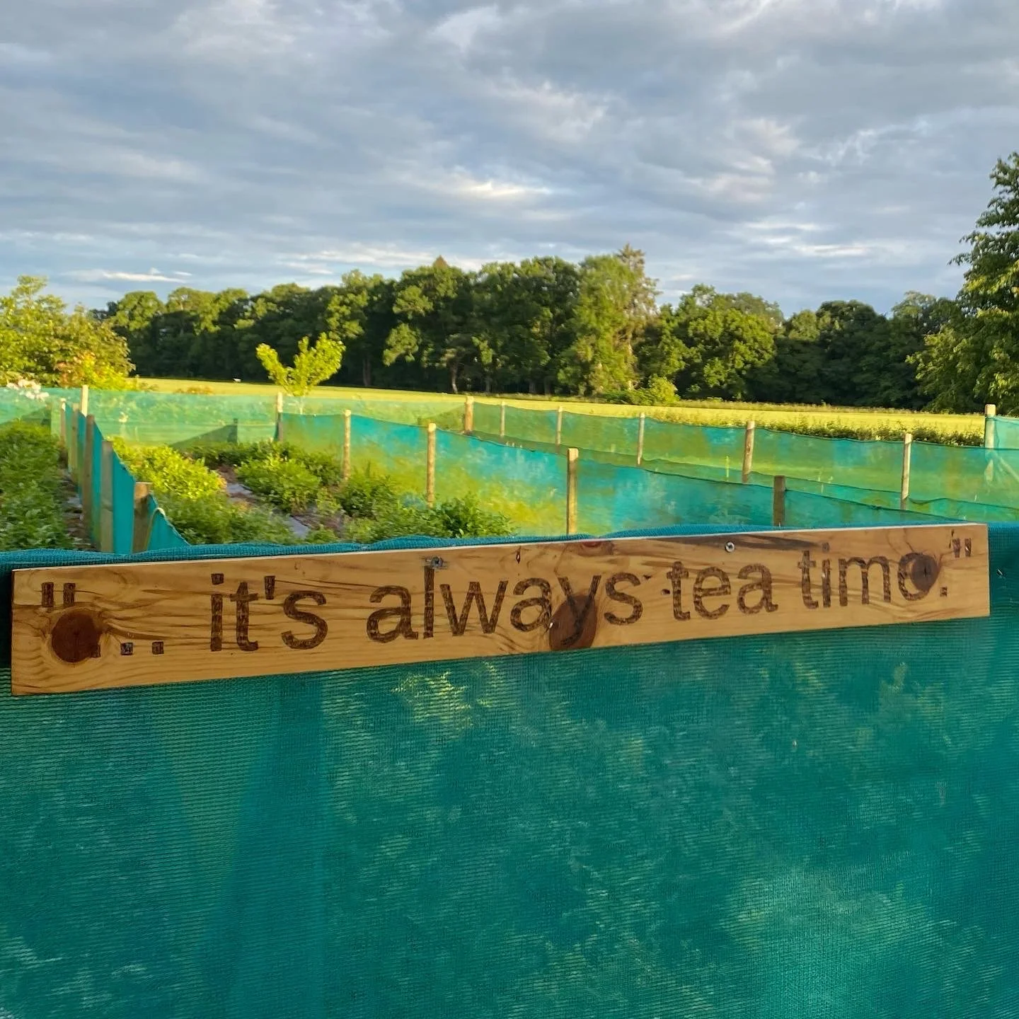 Tea Talks