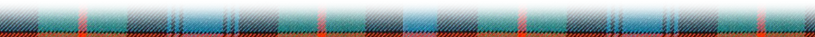 Close-up of a tartan plaid fabric with red, blue, and black pattern.