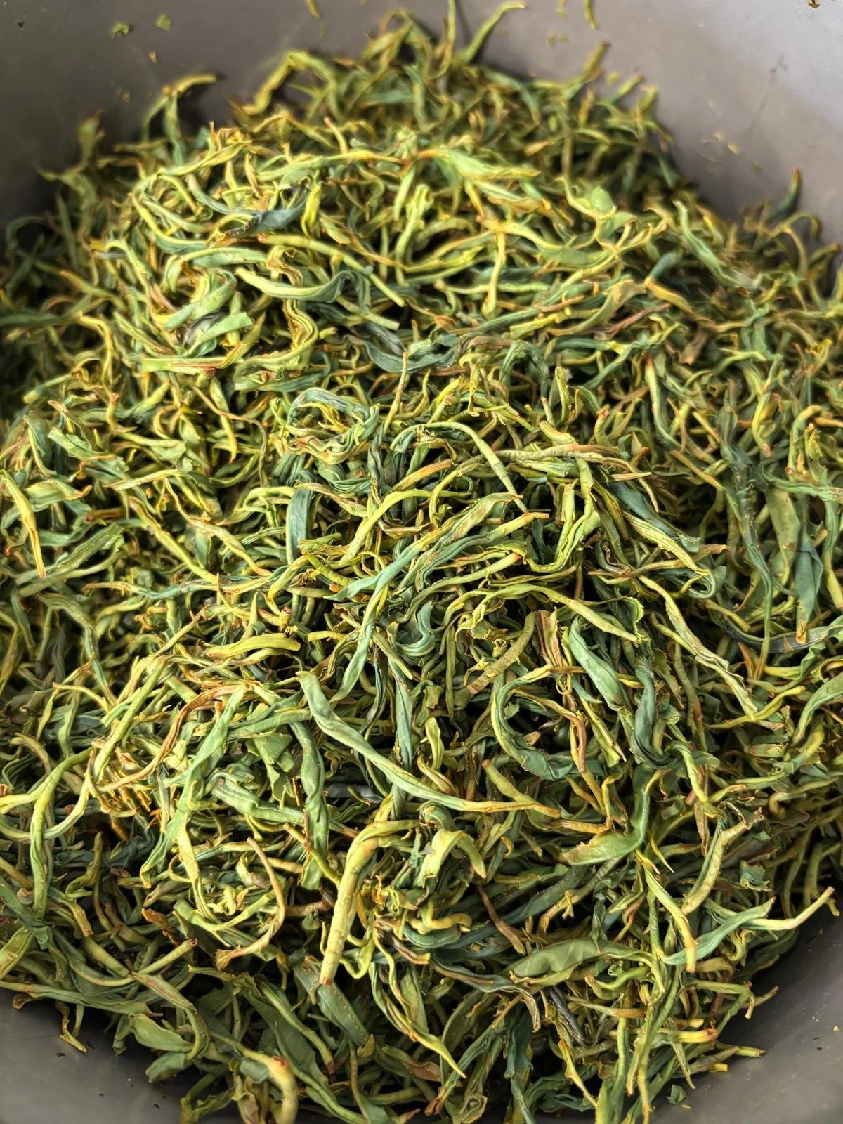 A large pile of dried, twisted green and yellow leaves in a container.