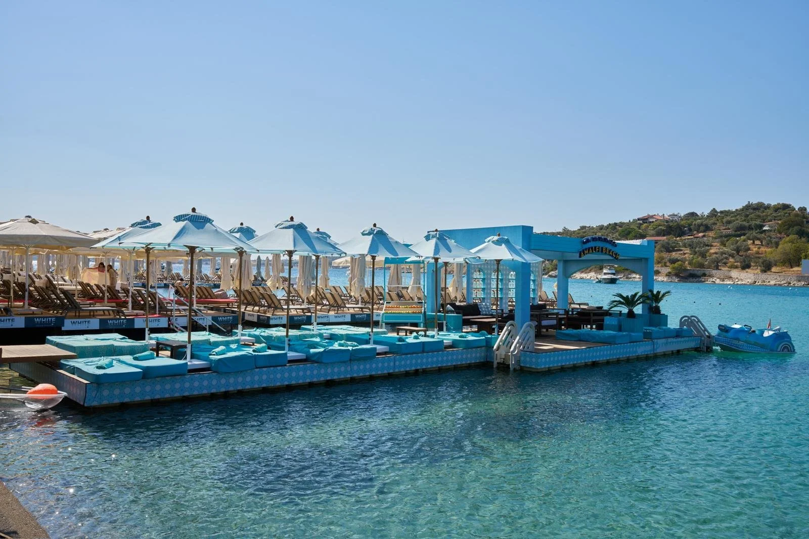 PHOTO-2026-01-20-12-23-29 8.jpg