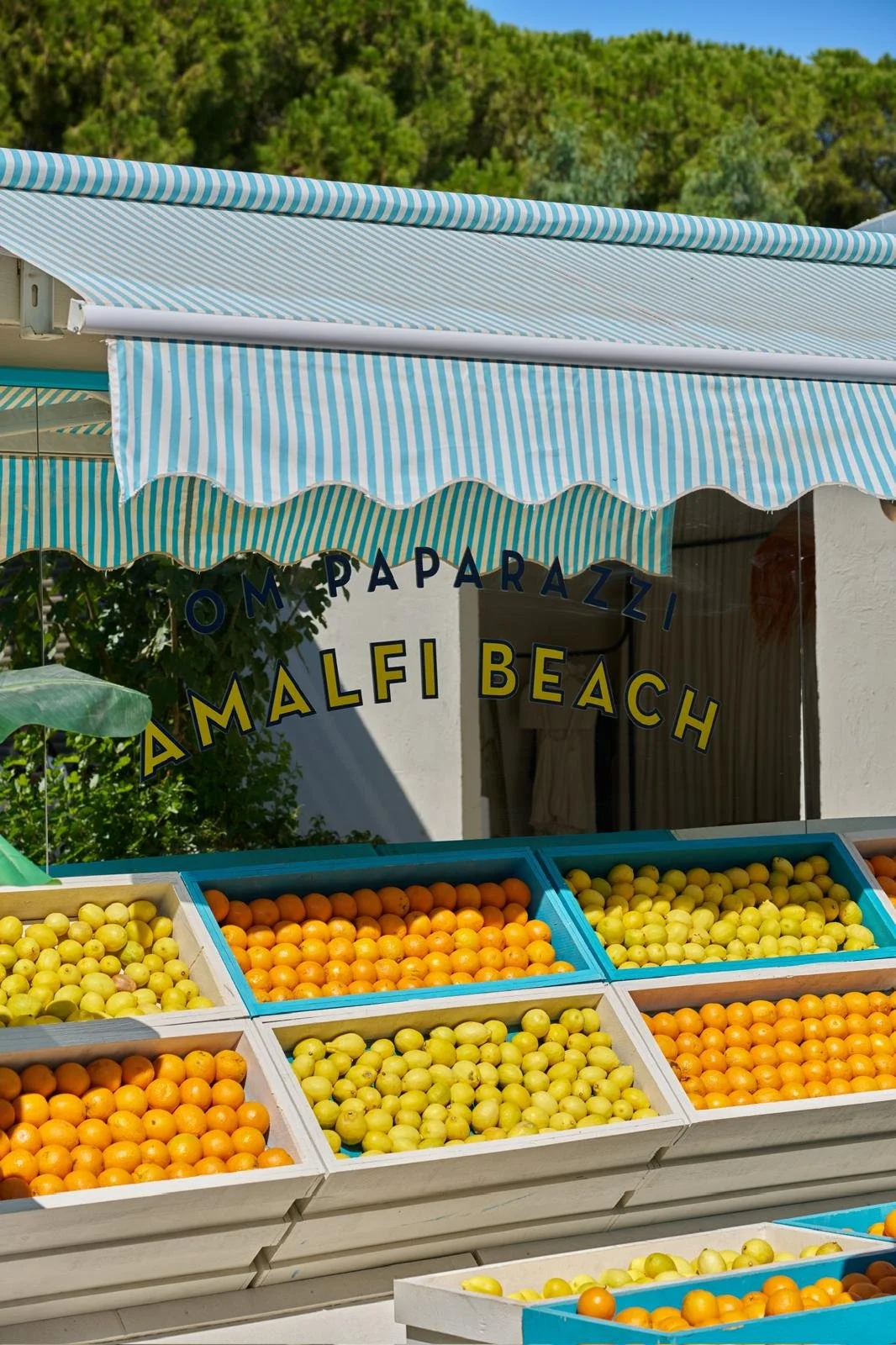 PHOTO-2026-01-20-12-23-29 15.jpg