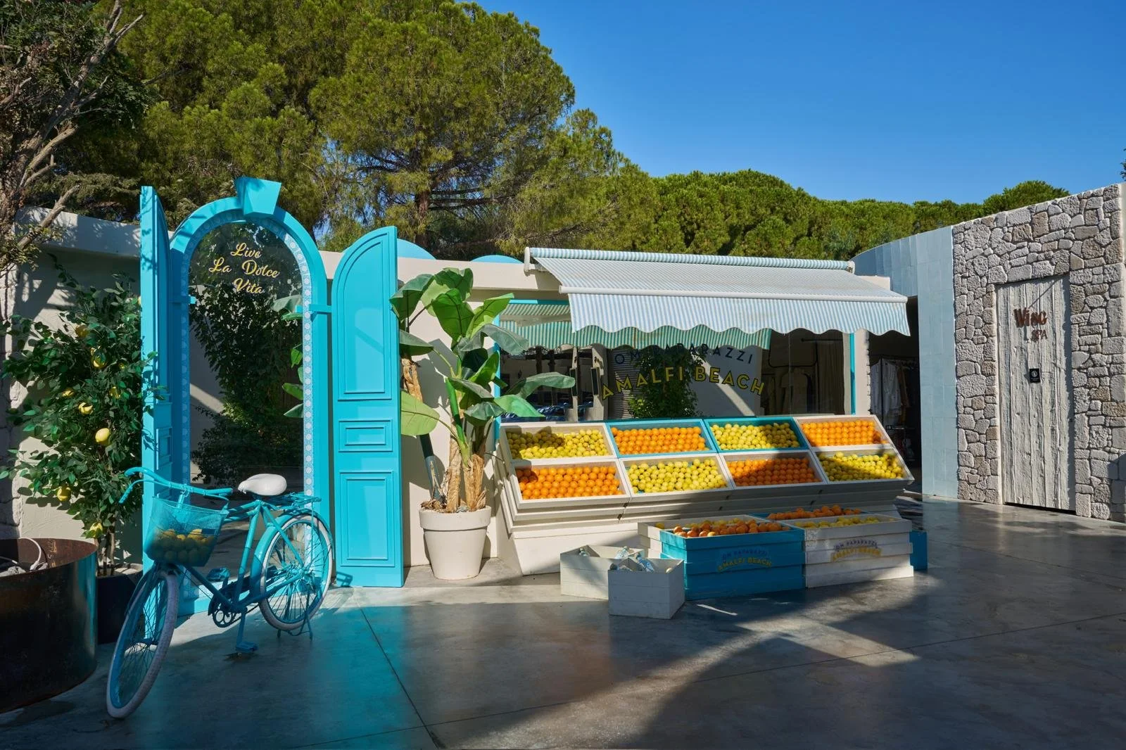 PHOTO-2026-01-20-12-23-29 2.jpg