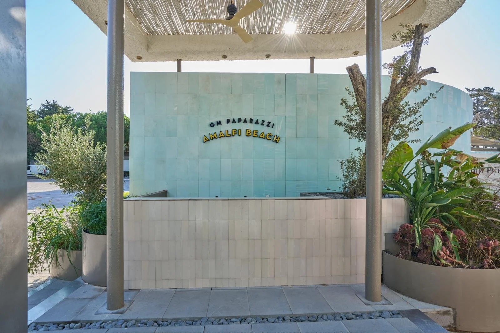 PHOTO-2026-01-20-12-23-29 18.jpg