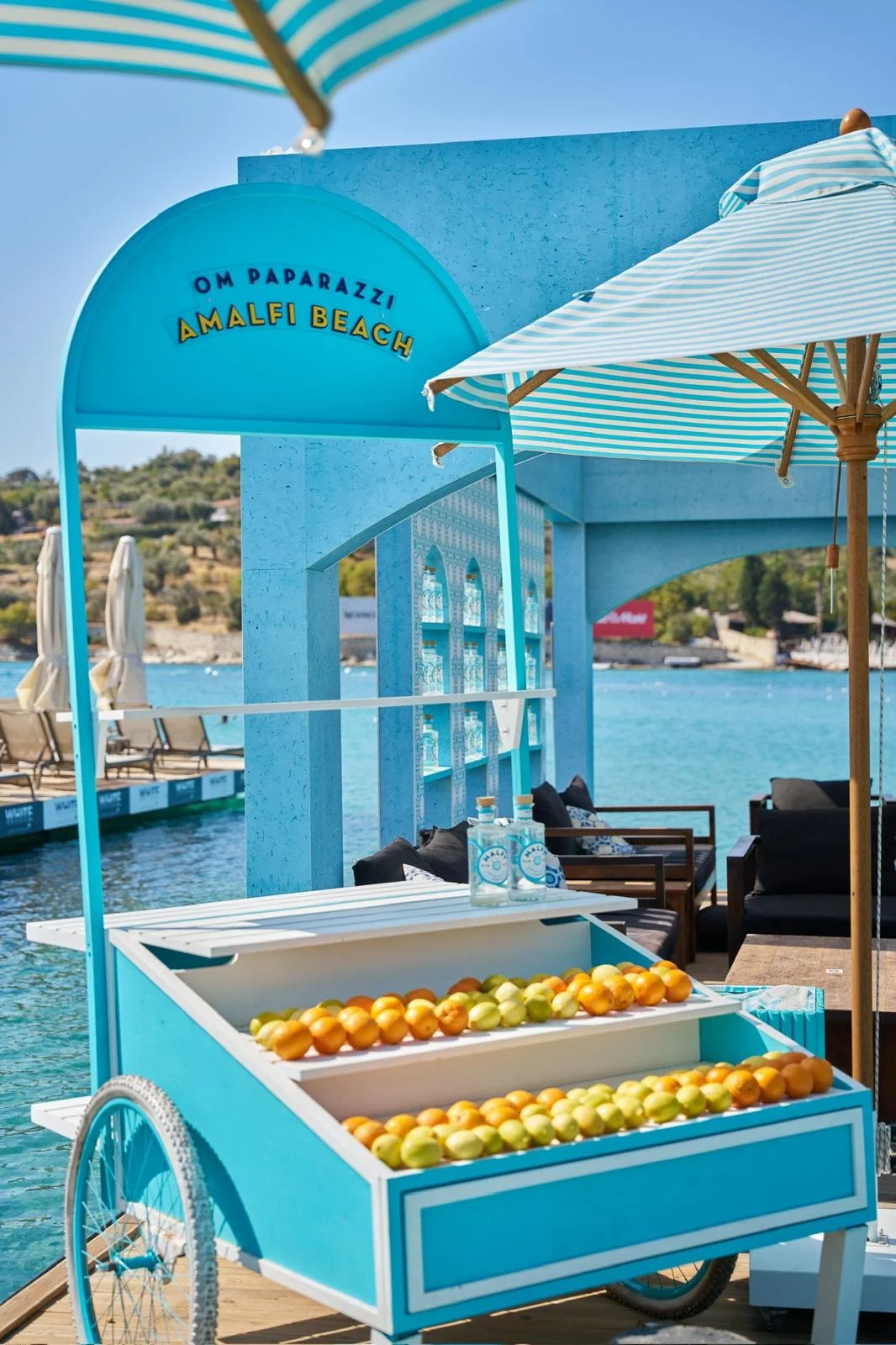 PHOTO-2026-01-20-12-23-29 12.jpg