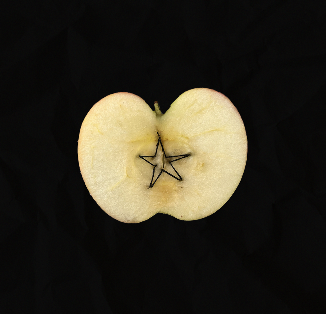 Screen Shot 2024-09-05 at 10.04.09 AM.png