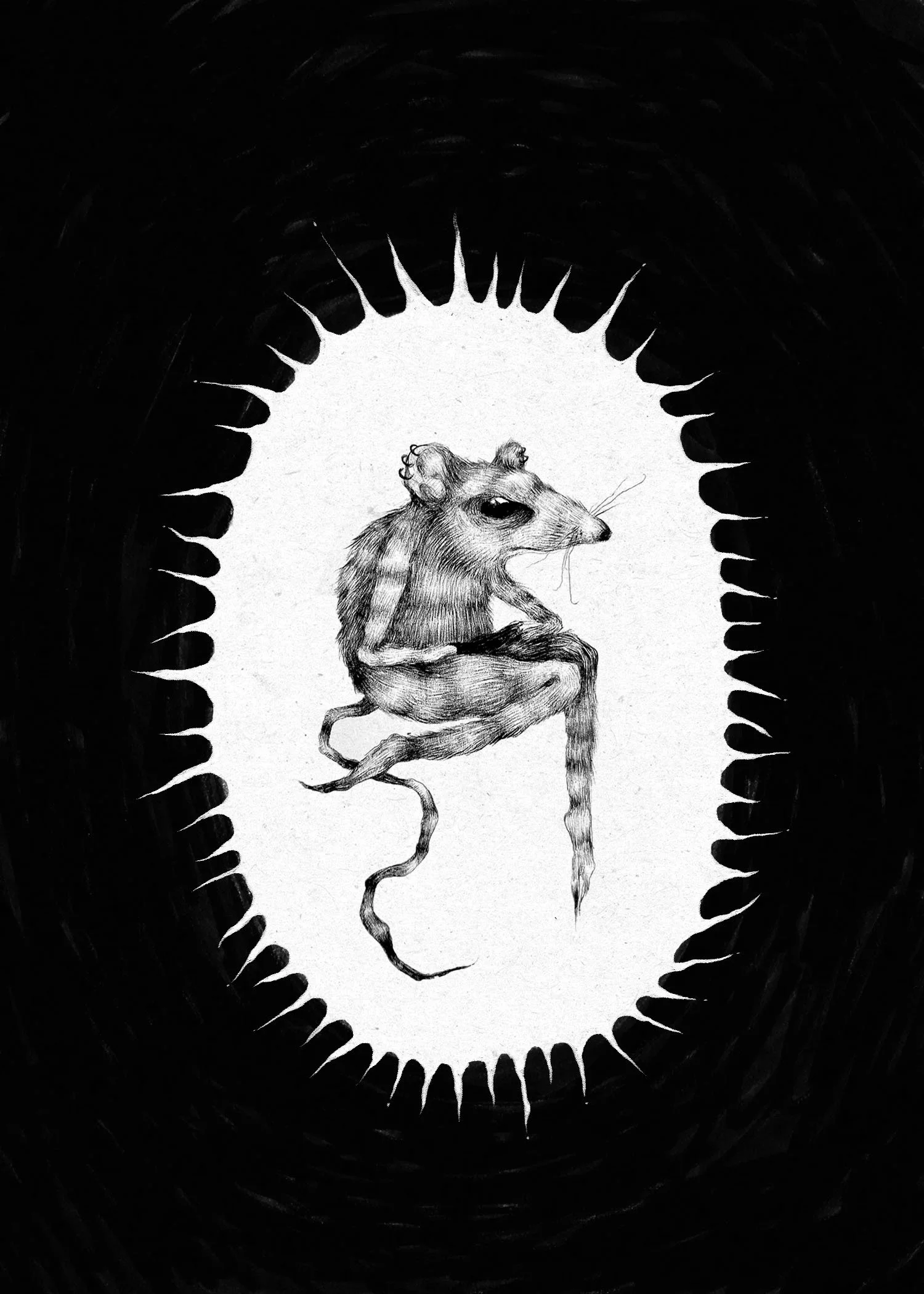 another punk rat.jpg