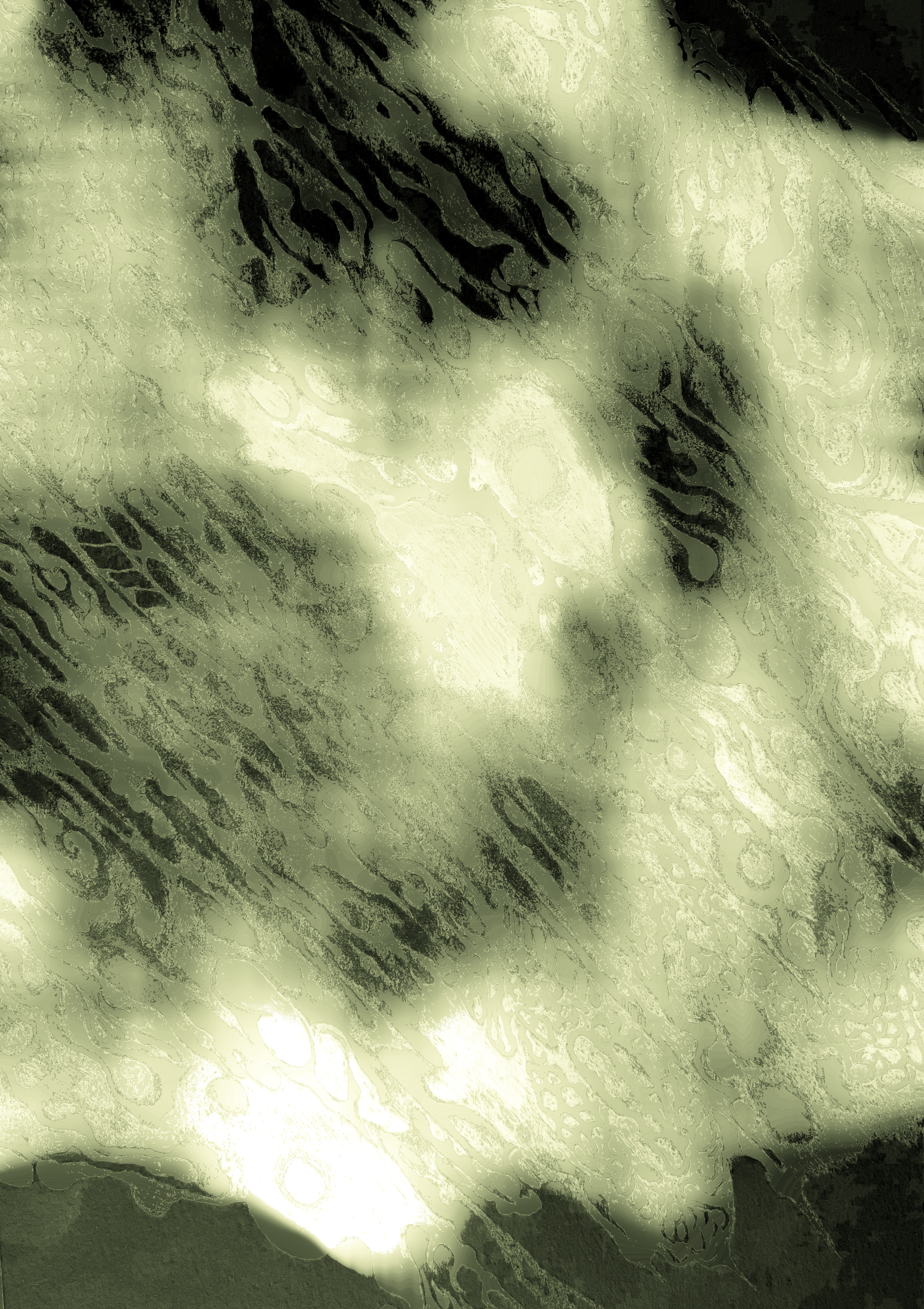 F521321E-E53E-4543-A092-01B0D1C9E677_1_201_a copy.png