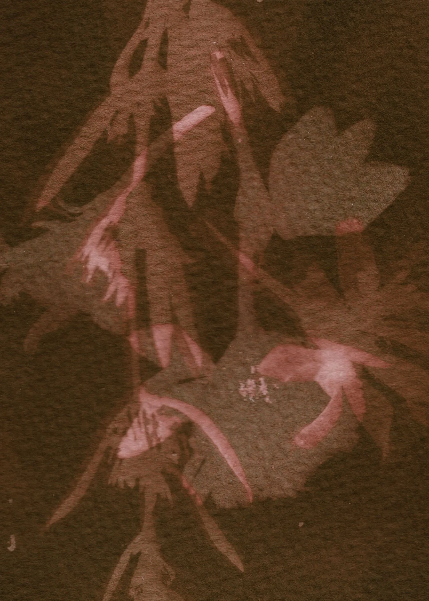 cyanotype layers.jpg