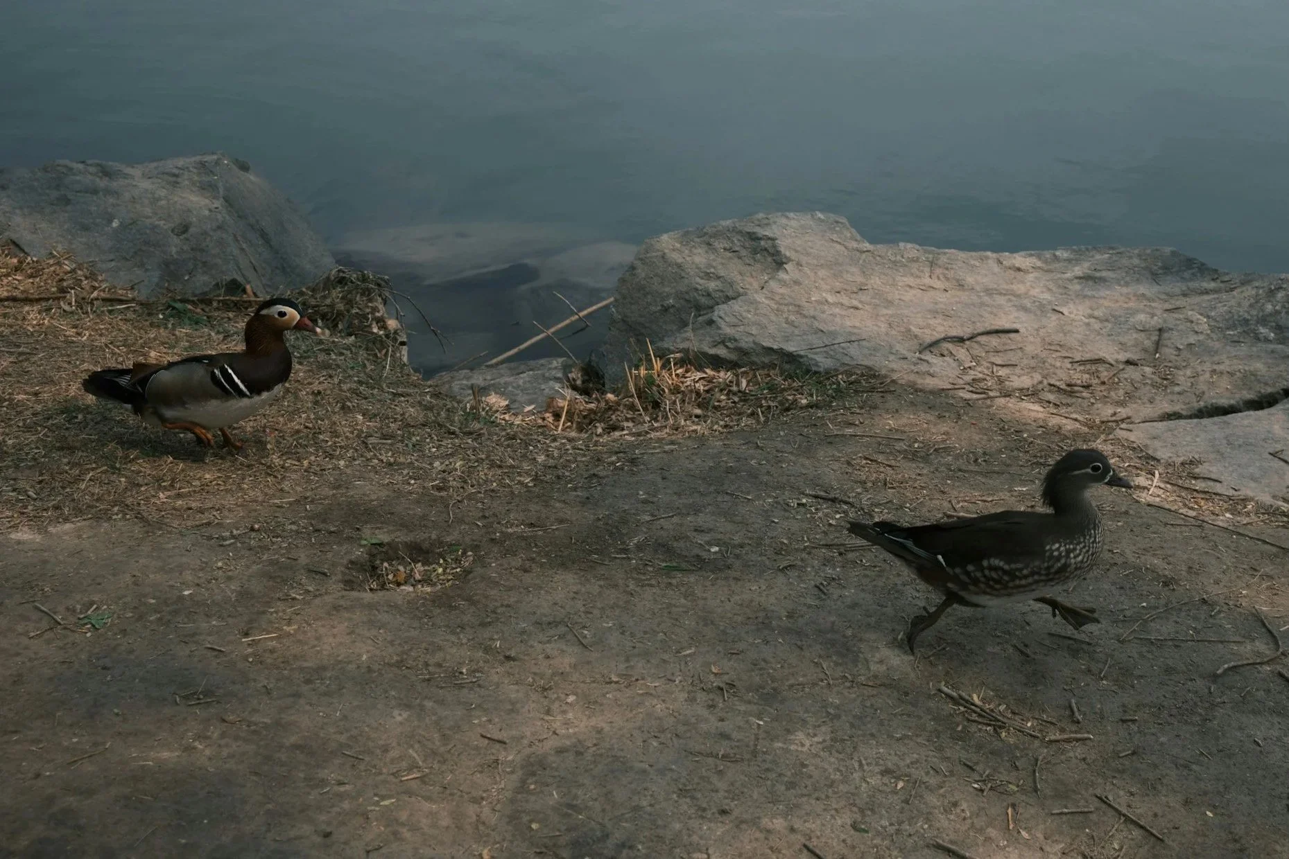 DAI ANCHE L’1%, MA NON SCAPPARE!/ GIVE EVEN 1%, BUT DON’T RUN AWAY!