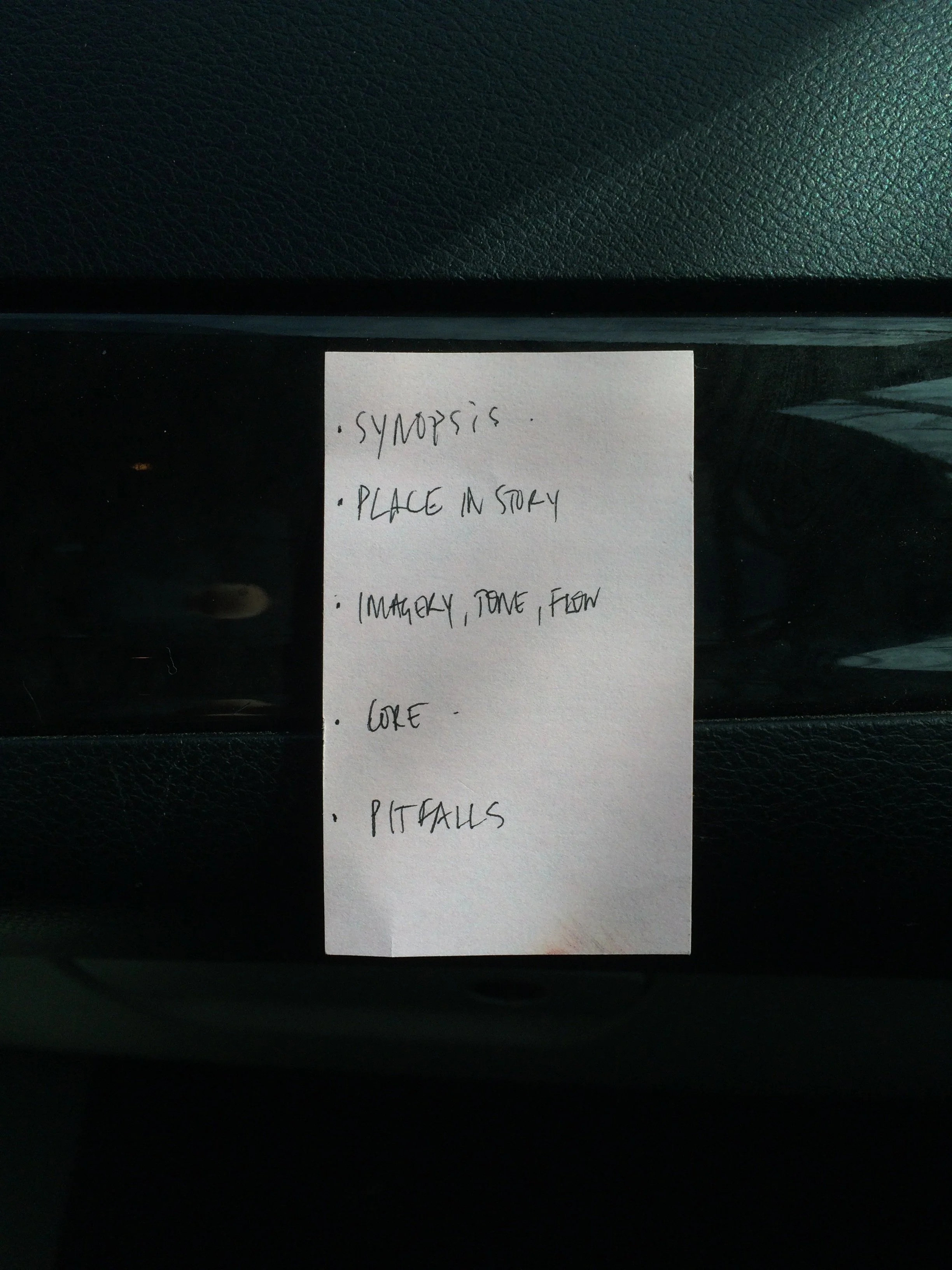 Tomas Leach's notes whilst making The Lure