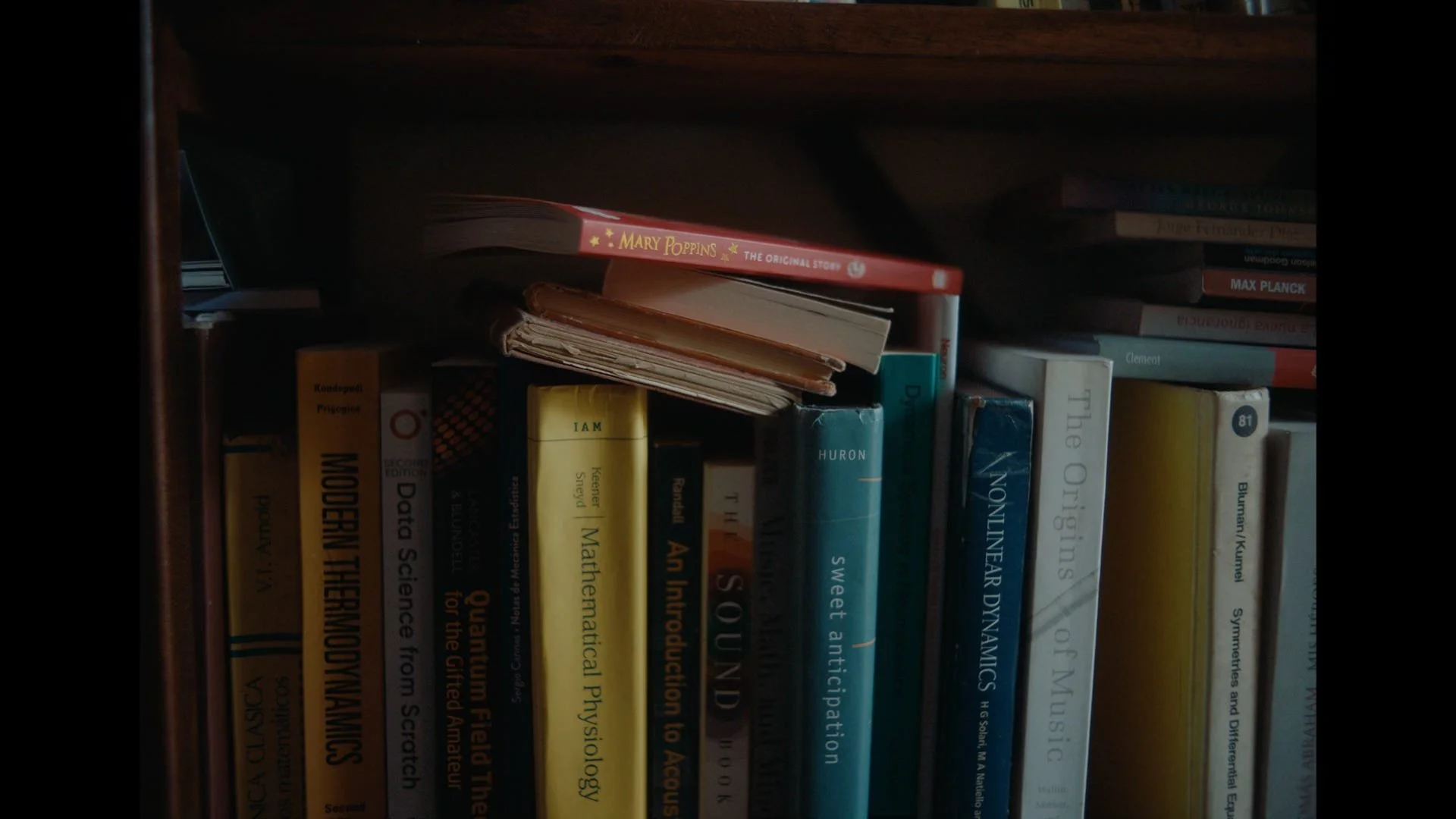 A frame from Tomas Leach's new film about bird language