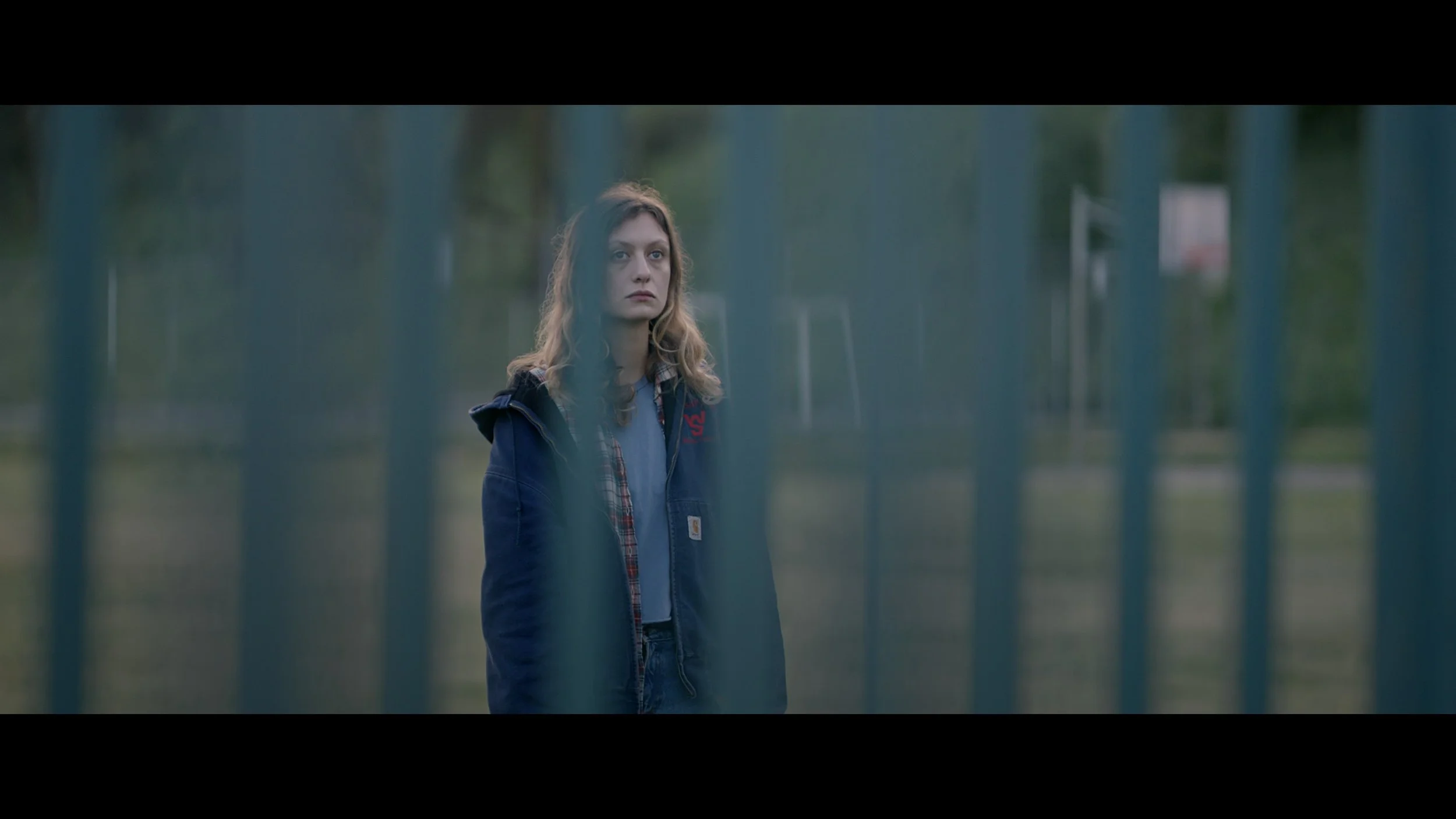 Frames from 'The Day Ray Impaled Himself on the Fence' 