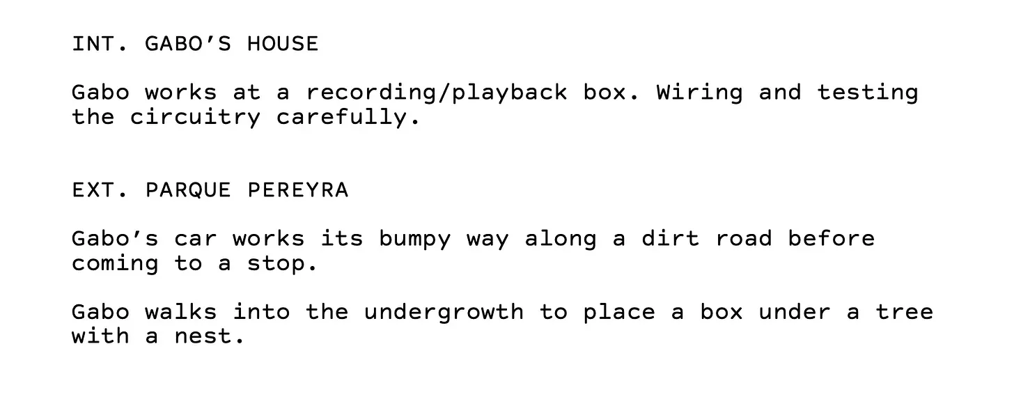 A page from Tomas Leach's WIP script