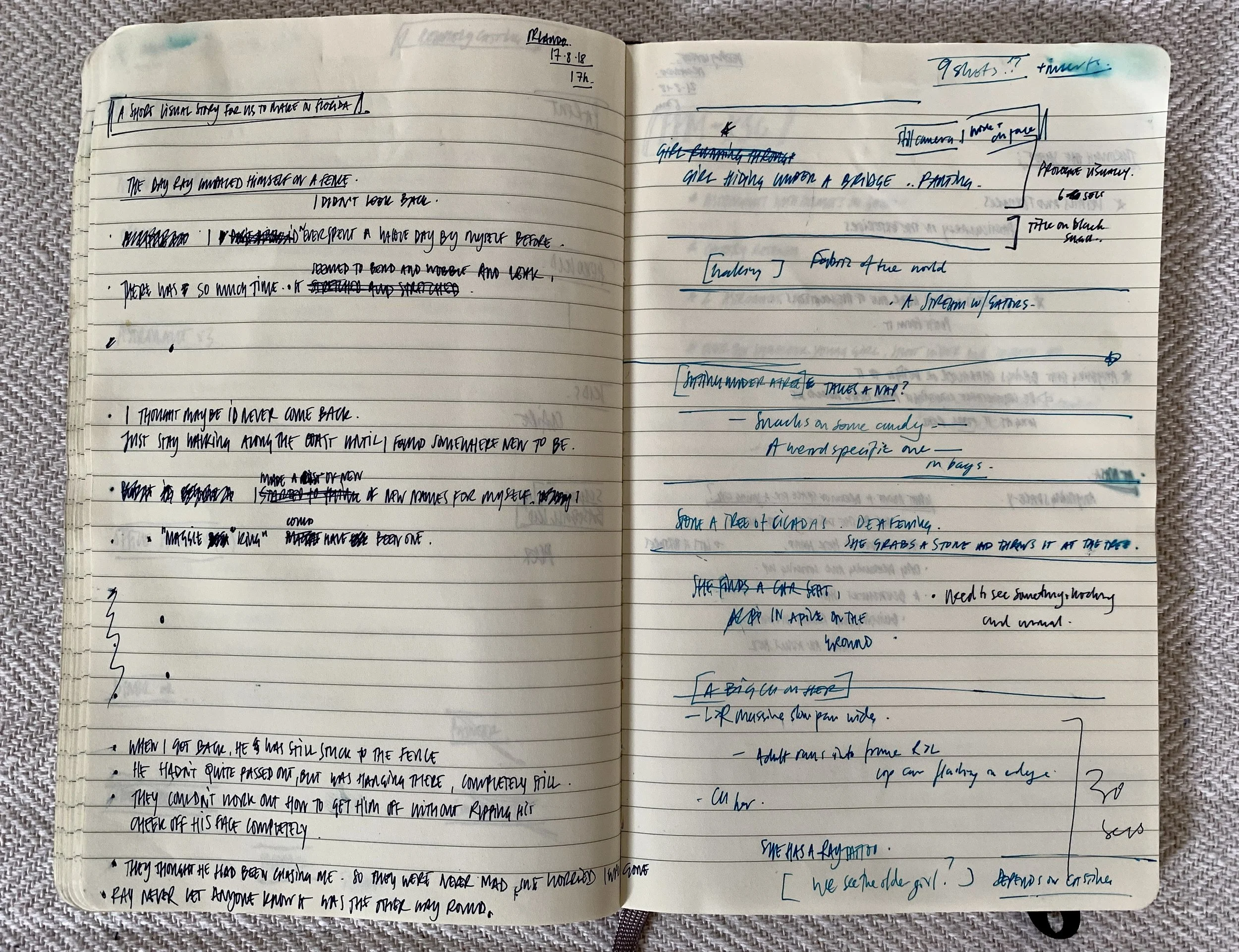 Tomas Leach's notebook from writing 'The Day Ray Impaled Himself on the Fence' 