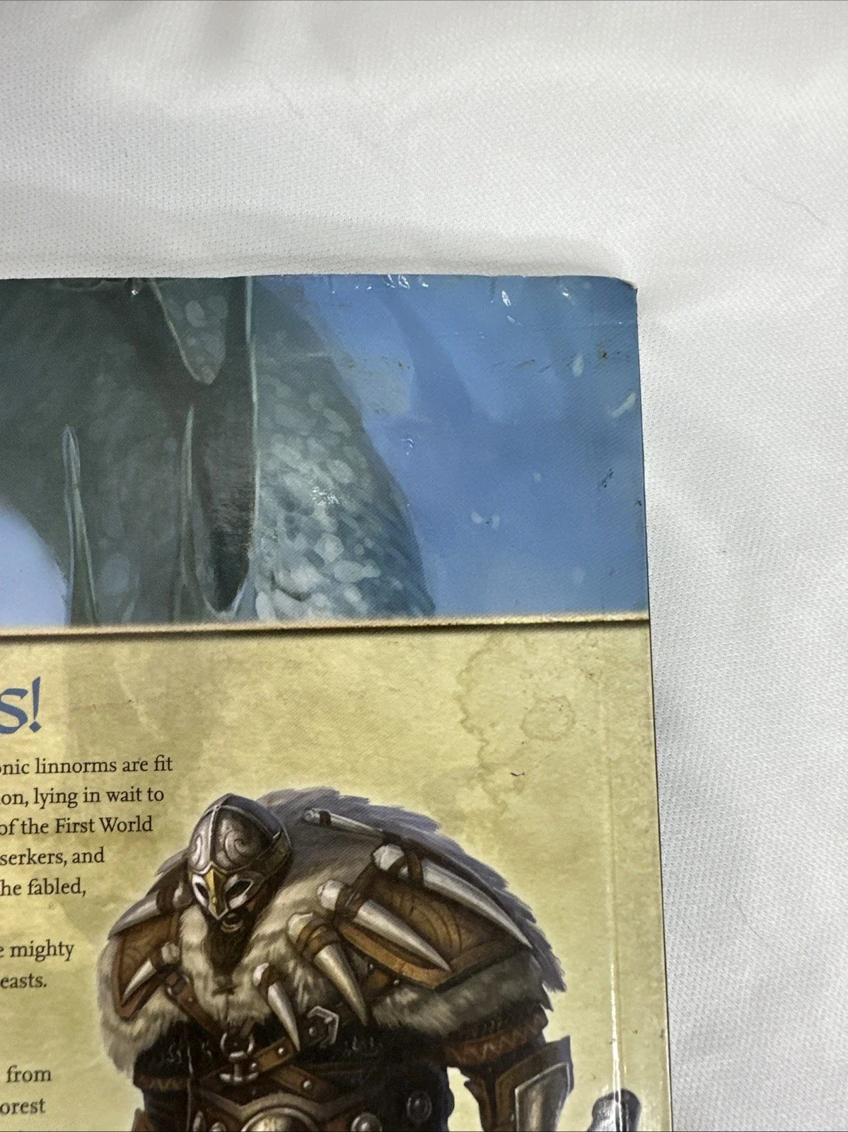 Pathfinder Campaign Setting - Lands of the Linnorm Kings