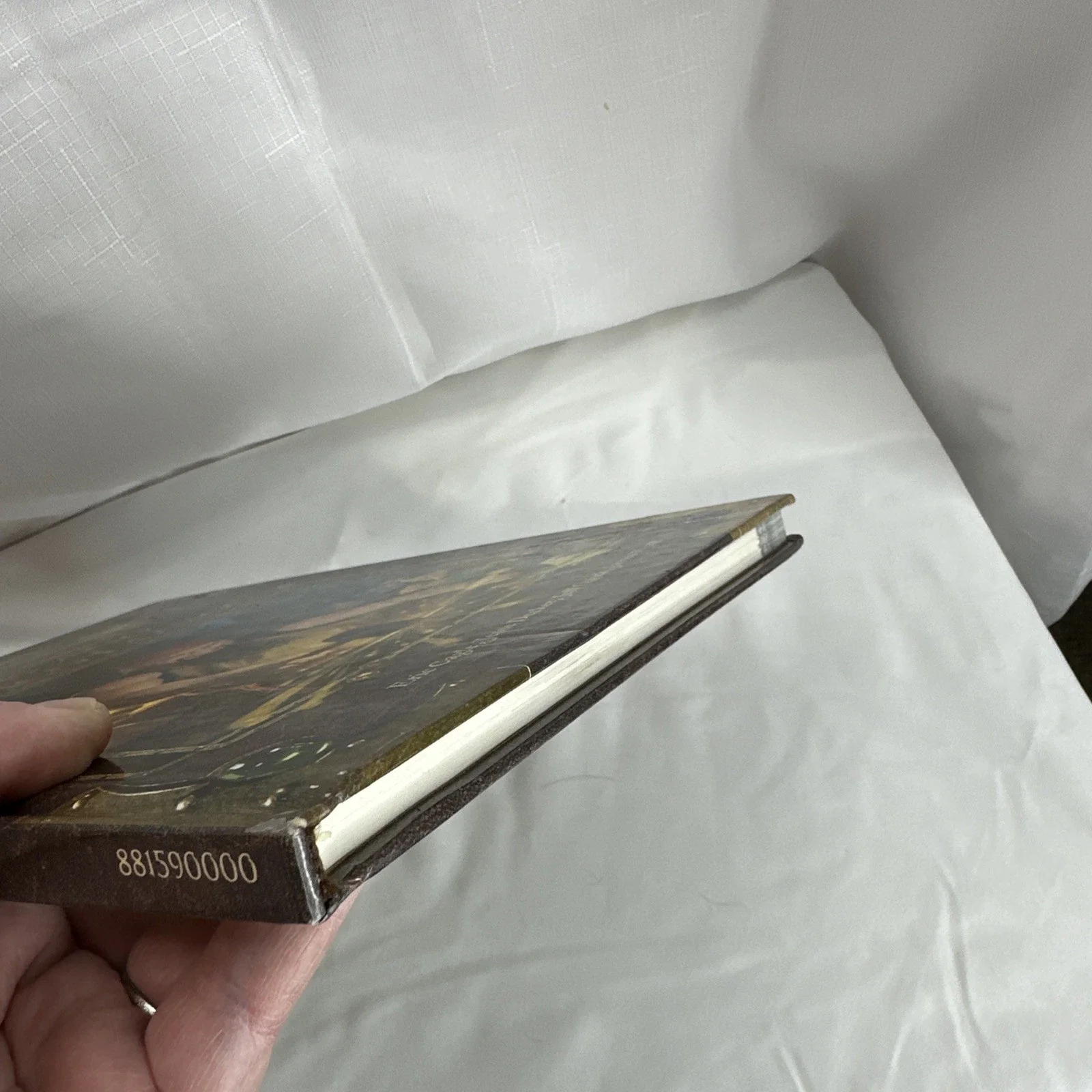 Dungeons & Dragons Accessory Arms and Equipment Guide 1st Print 2003 (A)