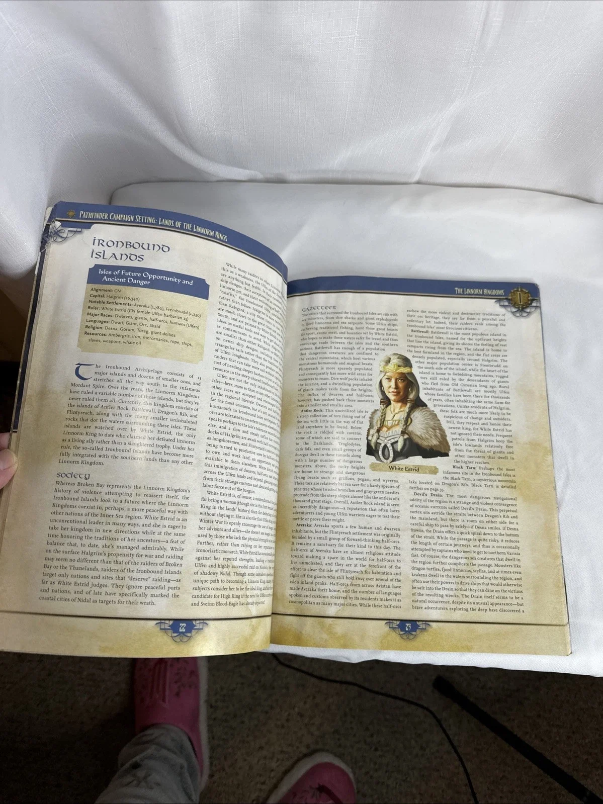 Pathfinder Campaign Setting - Lands of the Linnorm Kings