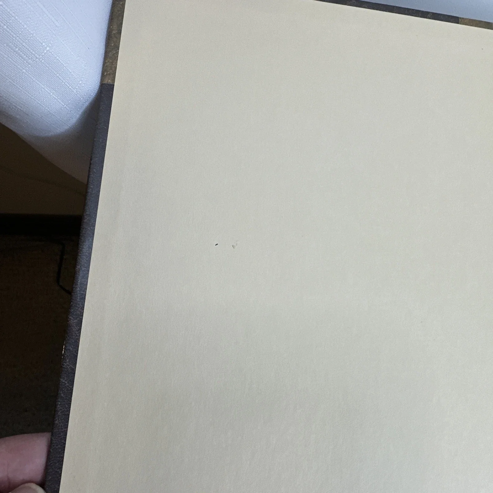 Dungeons & Dragons Accessory Arms and Equipment Guide 1st Print 2003 (A)