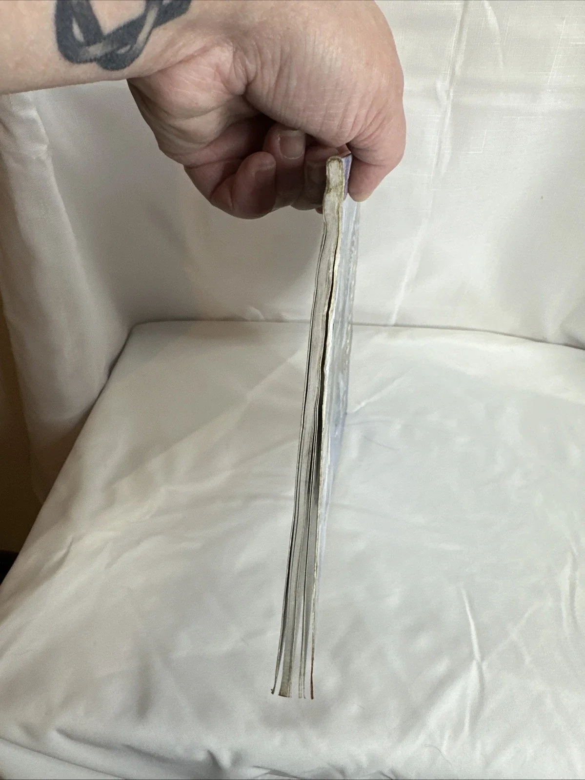 Pathfinder Campaign Setting - Lands of the Linnorm Kings