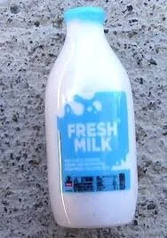 Zuru Mini Brands Fill the Fridge Series 1 You Pick The Mini