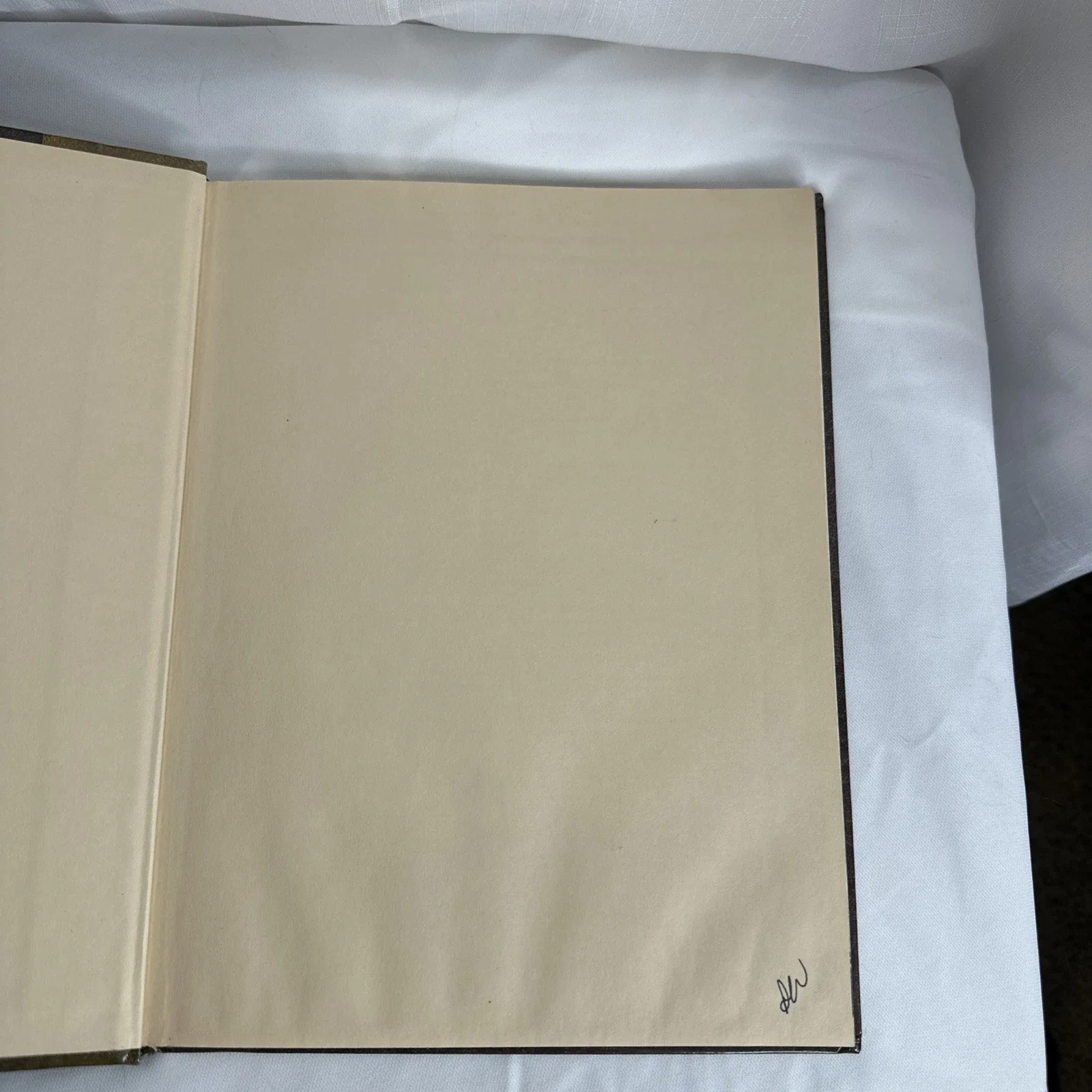 Dungeons & Dragons Accessory Arms and Equipment Guide 1st Print 2003 (A)