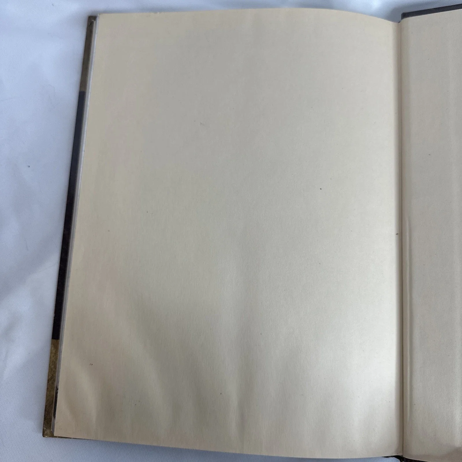 Dungeons & Dragons Accessory Arms and Equipment Guide 1st Print 2003 (A)