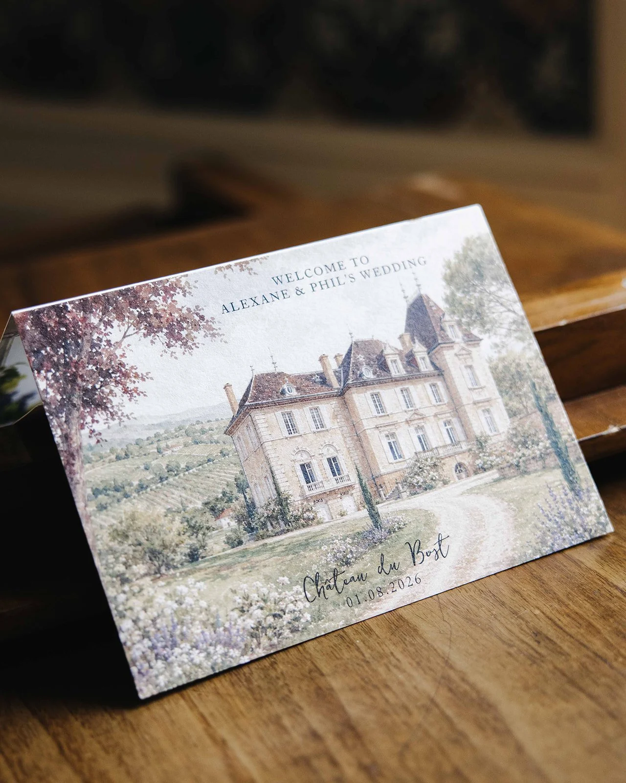 photographe-de-mariage-chateau-du-bost-blacé-beaujolais-24.jpg
