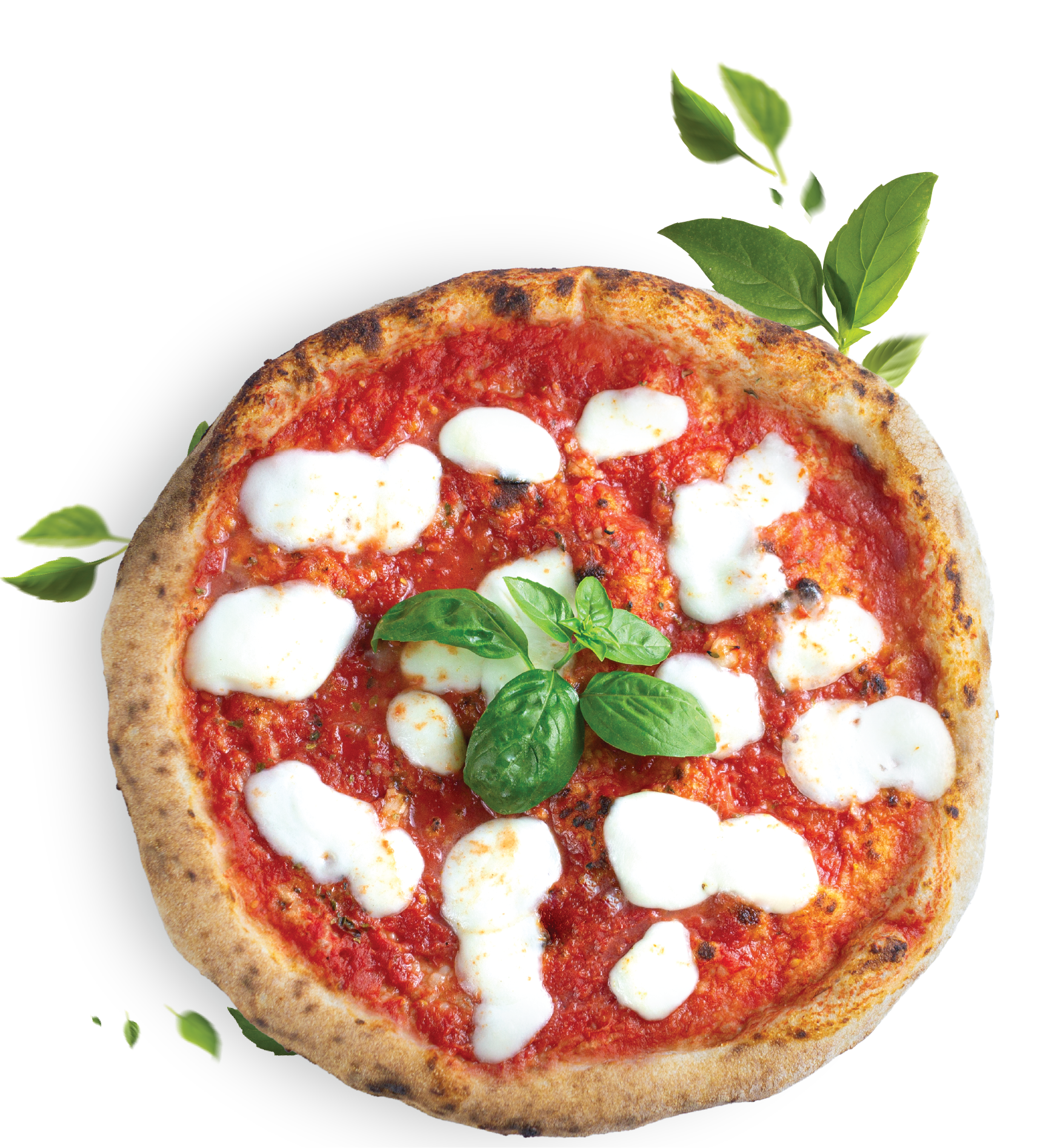 Pizza de queijo com tomate, manjericão e folhas de ervas.