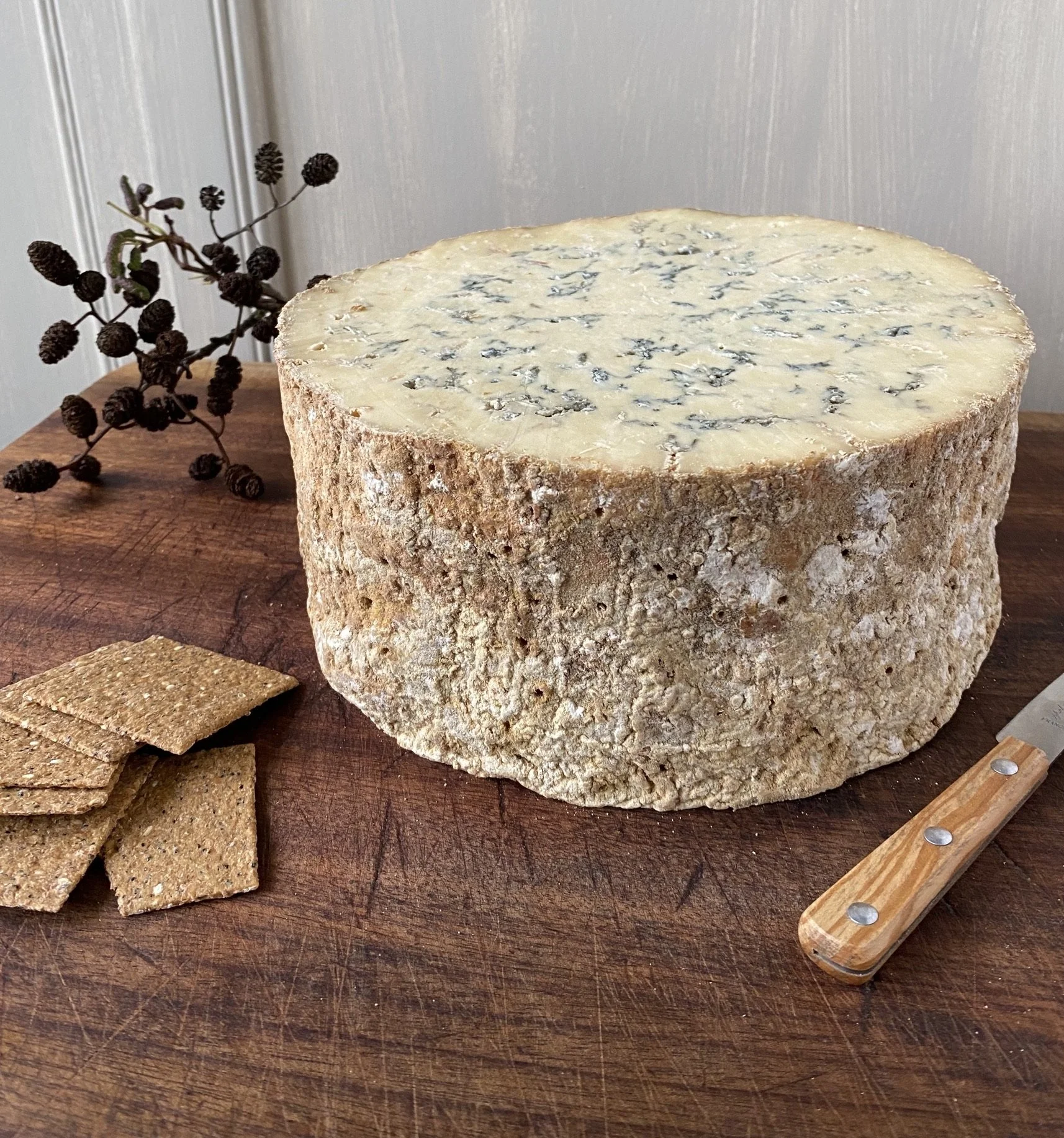 image00008 (4) (1).jpeg