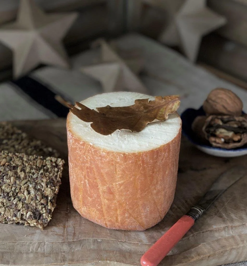 image00003 - Copy (2).jpg